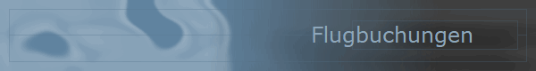 Flugbuchungen